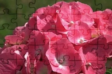 OK jigsaw puzzle