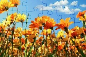 OK jigsaw puzzle