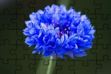 OK jigsaw puzzle