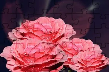 OK jigsaw puzzle