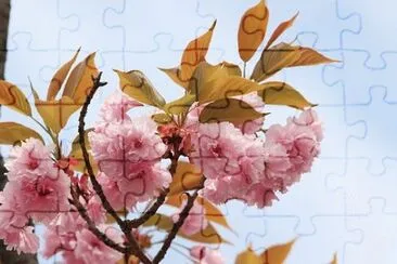 OK jigsaw puzzle