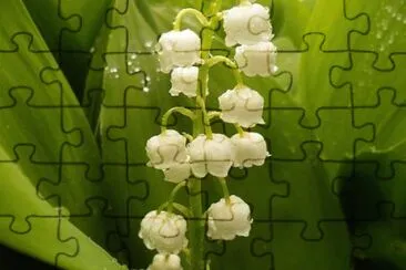 OK jigsaw puzzle
