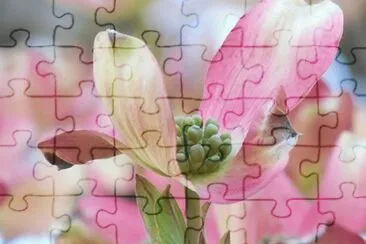 OK jigsaw puzzle