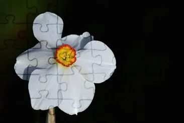 OK jigsaw puzzle