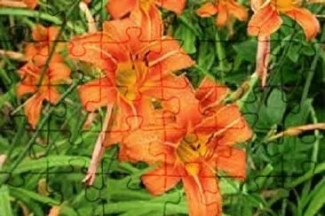 OK jigsaw puzzle