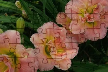 OK jigsaw puzzle