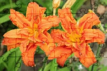 OK jigsaw puzzle