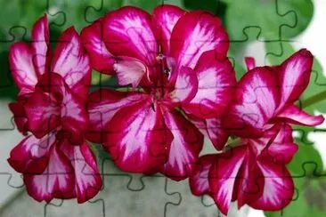 OK jigsaw puzzle