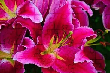 OK jigsaw puzzle