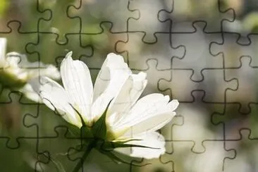 OK jigsaw puzzle