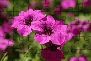 OK jigsaw puzzle