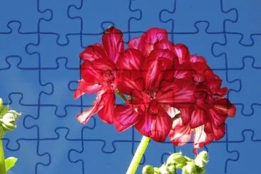 OK jigsaw puzzle