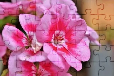 OK jigsaw puzzle