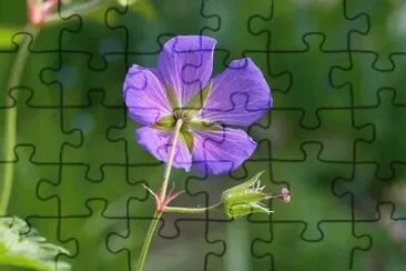 OK jigsaw puzzle