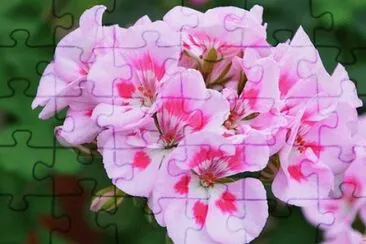OK jigsaw puzzle