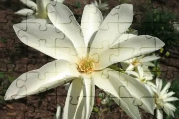 OK jigsaw puzzle