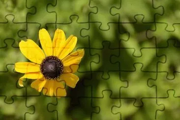 OK jigsaw puzzle