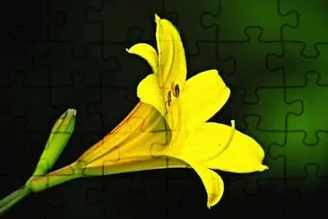 OK jigsaw puzzle