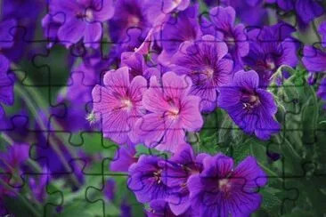 OK jigsaw puzzle