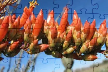 OK