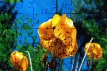 OK jigsaw puzzle
