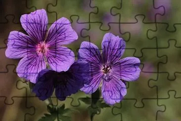 OK jigsaw puzzle