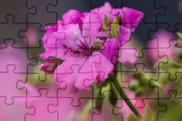 OK jigsaw puzzle