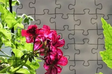 OK jigsaw puzzle