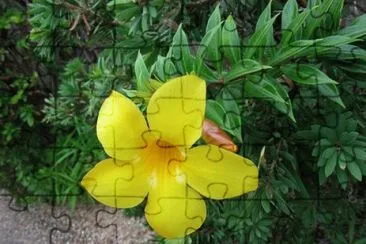 OK jigsaw puzzle