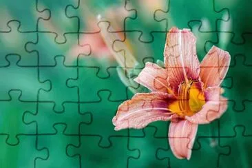 OK jigsaw puzzle