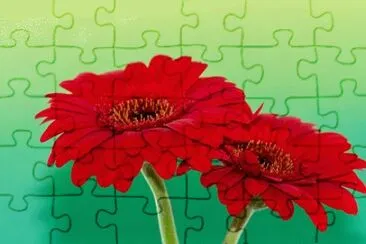 OK jigsaw puzzle