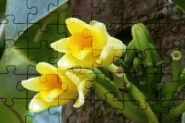 OK jigsaw puzzle