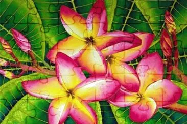 221 jigsaw puzzle