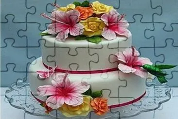 224 jigsaw puzzle