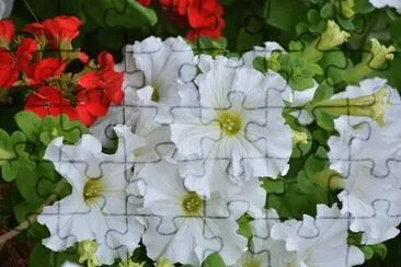 OK jigsaw puzzle