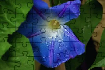 OK jigsaw puzzle