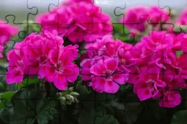OK jigsaw puzzle