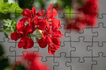 OK jigsaw puzzle