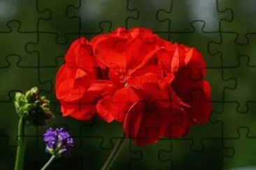 OK jigsaw puzzle