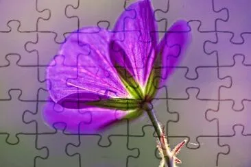 OK jigsaw puzzle
