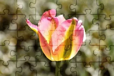 OK jigsaw puzzle