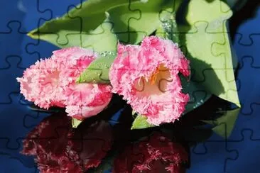 OK jigsaw puzzle