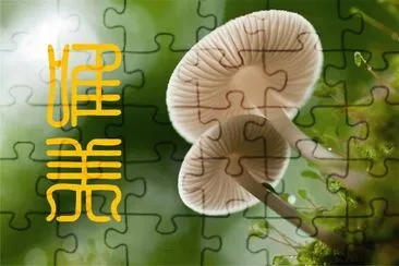 å”¯ç¾Žåœ–ç‰‡ jigsaw puzzle