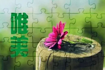 å”¯ç¾Žåœ–ç‰‡ jigsaw puzzle