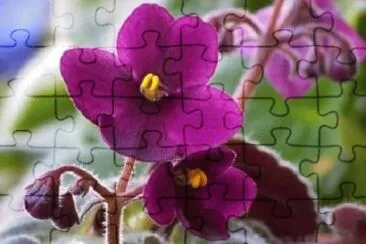 OK jigsaw puzzle