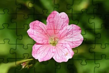 OK jigsaw puzzle