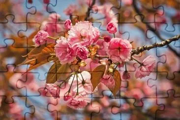 OK jigsaw puzzle