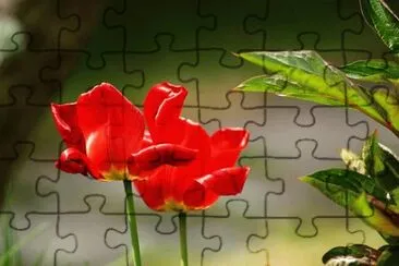 OK jigsaw puzzle