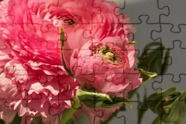 OK jigsaw puzzle