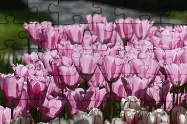 OK jigsaw puzzle